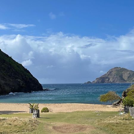 Blue Lagoon, Cottage Les Pieds Dans L Eau Terre-De-Haut Exteriér fotografie